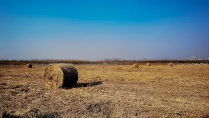 Уинзинейтър Казино Мобилно приложение